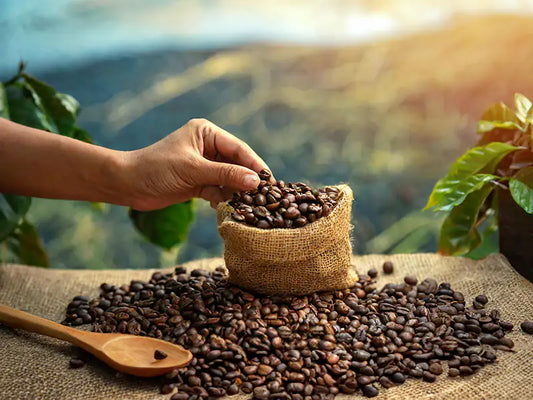 Savoring the Nectar of the Gods: A Divine Journey Through Coffee