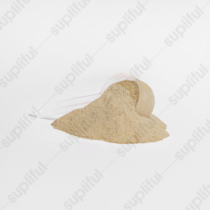 Advanced 100% Whey Protein Isolate (Vanilla)